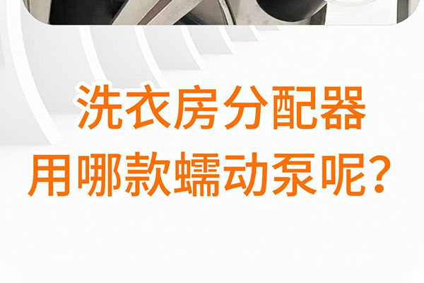 洗衣房分配器用哪款蠕動泵呢?